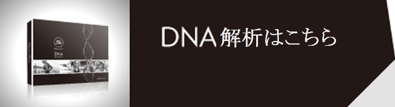 DNA解析
